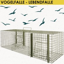 Lebendfalle vögel falle - vögel, vogel