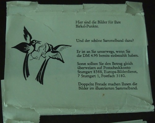 ältere birkel bilder - bilder, für