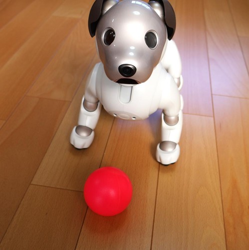Sony aibo ers 1000 j1 - w,