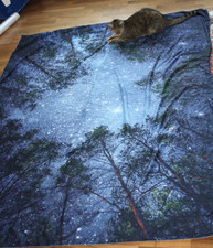 Wandtuch  / Wandbehang Motiv "Nachthimmel im Wald"