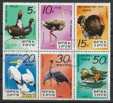 1979.10.09 Central Zoo Ente Strauß Truthahn Pelikan Perlhuhn Mandarinente  