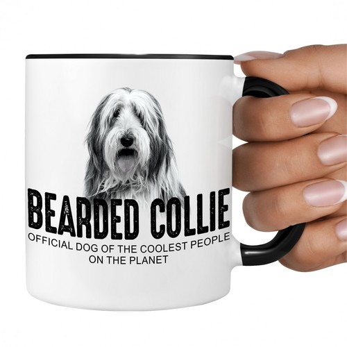 Bearded collie beardie - bearded,