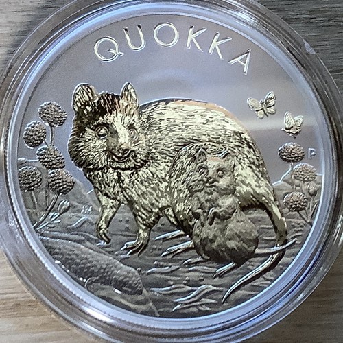 999 silber quokka - silber,