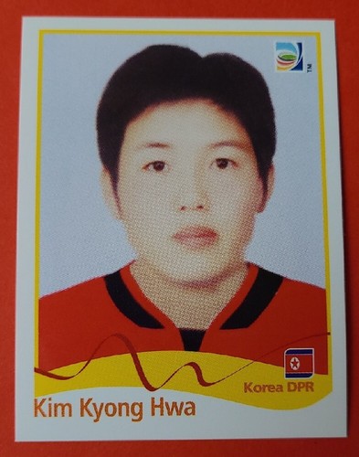 Panini 2011 sticker - panini,
