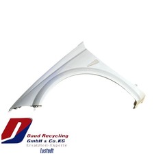 Renault Megane CC Kotflügel