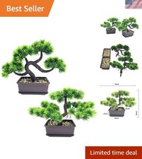 Bonsai Pflanze, Japanische
