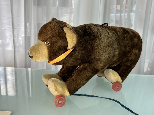 Alter sammler teddy bär - alter,
