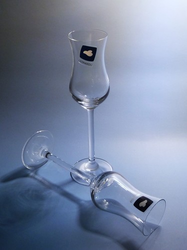 Leonardo daily grappa glas - 2x,