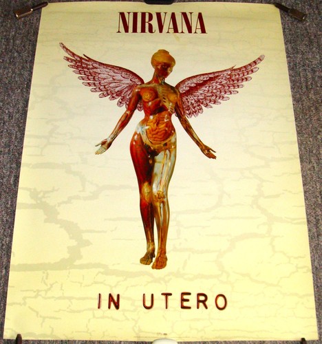 Nirvana stunning rare s - stunning,