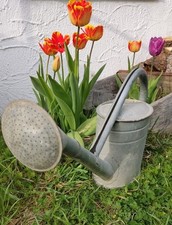 Zink Gießkanne dicht langlebig  schöne Markenqualität Zinkgießkanne 5 L selten 