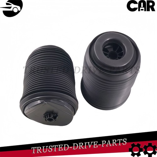 Pair rear air spring - lh, rh