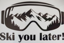 Ski You Later! Skifahrer