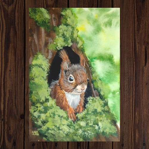 Eichhörnchen aquarellbild - eichhörnchen,