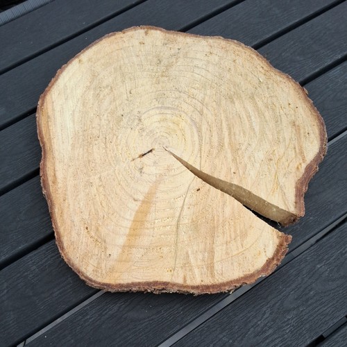 Baumscheibe 28cm - baumscheibe,