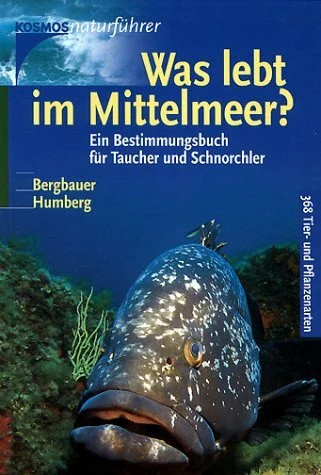 Was lebt mittelmeer ein - was, im