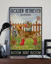 Golden Retriever Bloom Baby