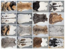 Premium XXL Kaninchenfell