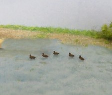 ( 1:220 ) Enten Länge je Tier