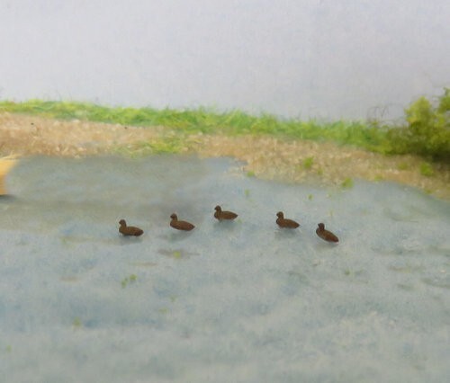 Enten länge tier - ),
