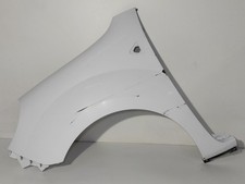 631011587R KOTFLÜGEL VORNE