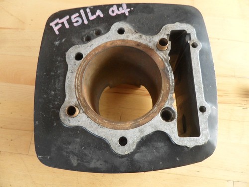 Honda ft500 pc07 zylinder - pc07,