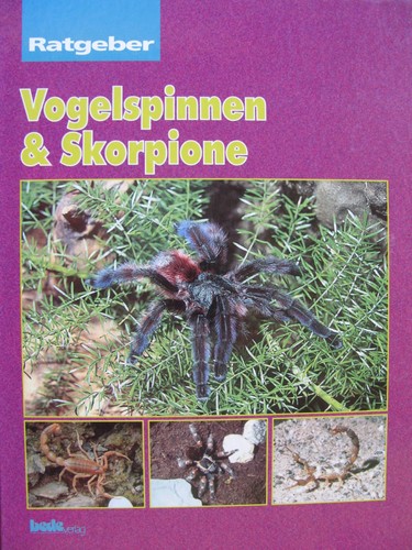 Vogelspinnen skorpione bede - vogelspinnen,