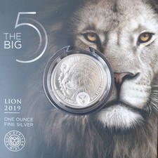 South Africa  Big five Lion