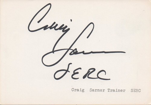 Craig sarner in - -,