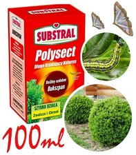 Buchsbaumzünsler Raupenfrei