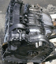 BAC Motor Rumpfmotor mit