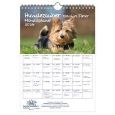 Hundezauber Yorkshire Terrier