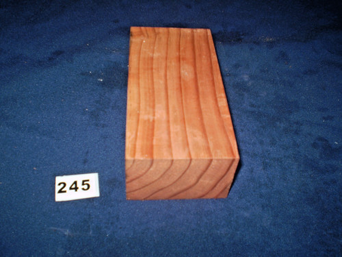 Redwood mammutbaum - redwood,