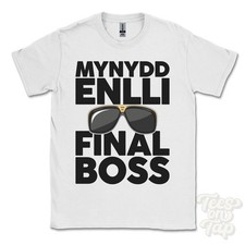MYNYDD ENLLI FINAL BOSS