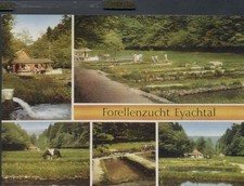 Forellenzucht Eyachtal / Schwarzwald  (Nr.623/1277)