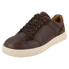 Herren shoes albie - db,
