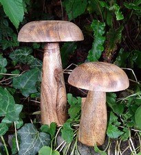 Deko-Pilz-Holz"Natur"braun