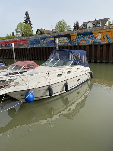 Motorjacht regal 258 commodore - 258,