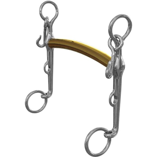Neue schule vollblut - schule, weymouth