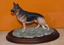 Country Artists Alsation auf