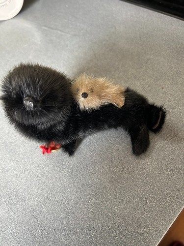 Rare echt seehund black - rare,