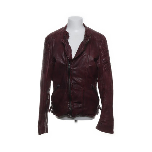 Scotch soda bikerjacke - &, soda,