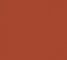 Vliestapete Grün einfarbig