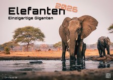 Elefanten - einzigartige