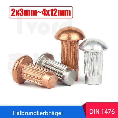 Kerbnagel halbrundkerbnägel - kerbnagel,