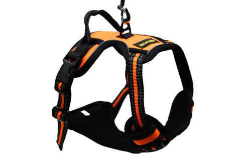 Premium hundegeschirr - premium,