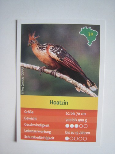 Entdecke brasilien - entdecke,