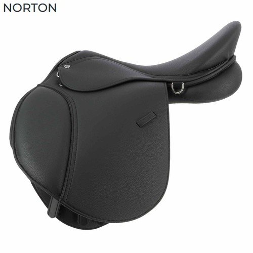 Norton pro - norton,