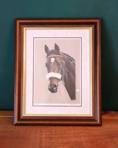 Pentire equine portrait - equine,