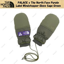 PALACE x The North Face Purple