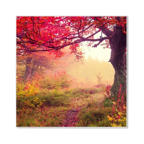 Banjado design memoboard - design,